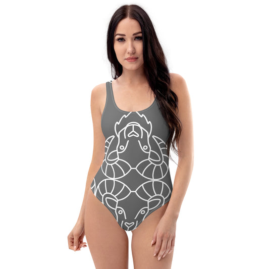 Aries Grey One-Piece Swimsuit